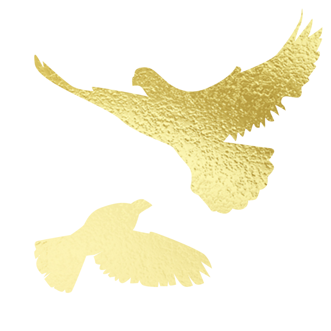 https://lyjxx.wxlxjy.com/contents/sitefiles2066/10333420/images/49395763.png